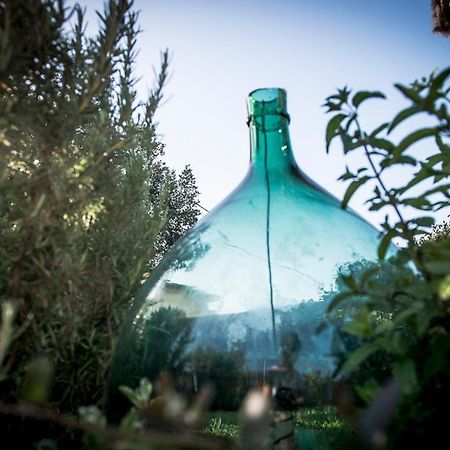 הוילה קמאיורה Casa Vittoria מראה חיצוני תמונה